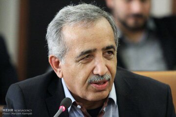 آثار گسترده رضوی می‌تواند تاریخ هنر جهان و دوره اسلامی را تحت تاثیر قرار دهد 