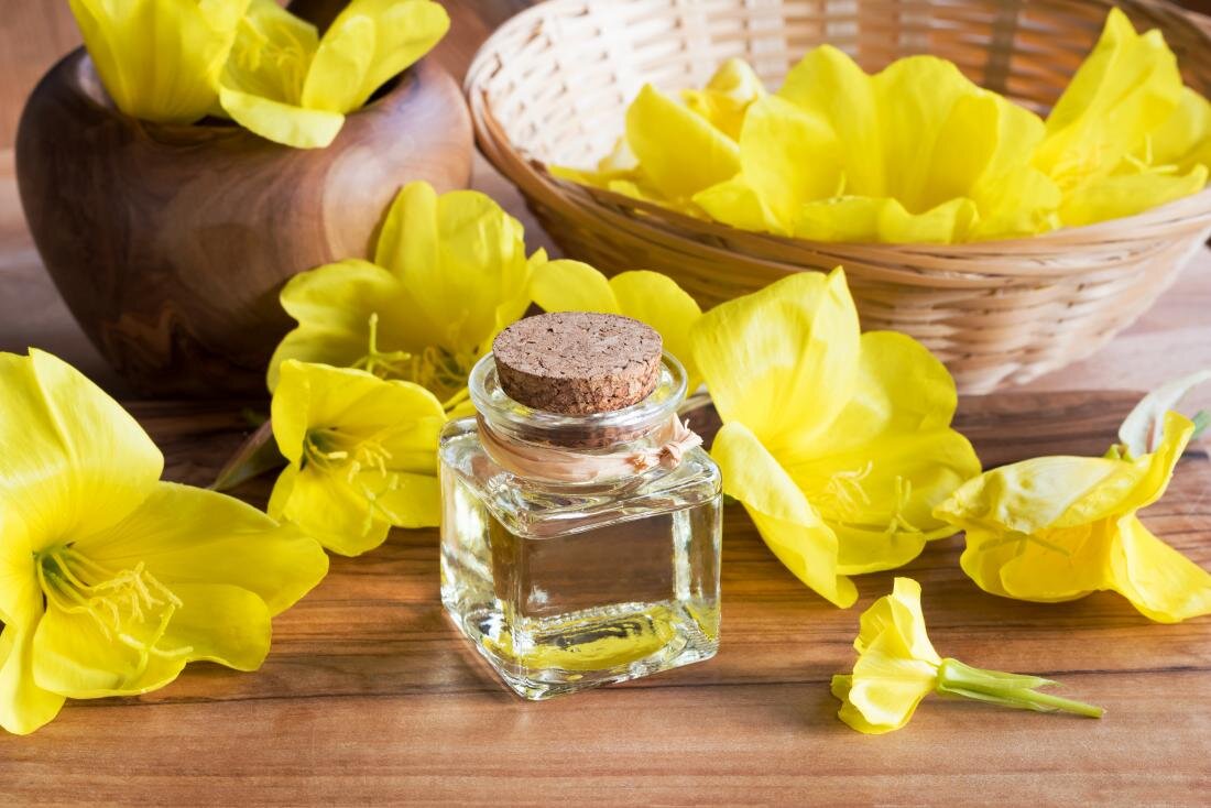 روغن گل مغربی چه فایده‌ای دارد؟
