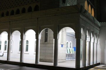 4330985.jpg