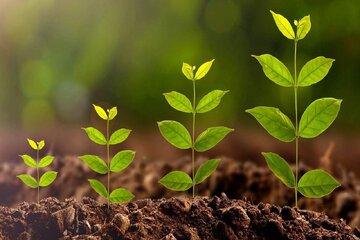 تکامل زیستن انسان چگونه است؟ آیا انسان ناگهان آفریده شده است یا خلقت او تدریجی است؟