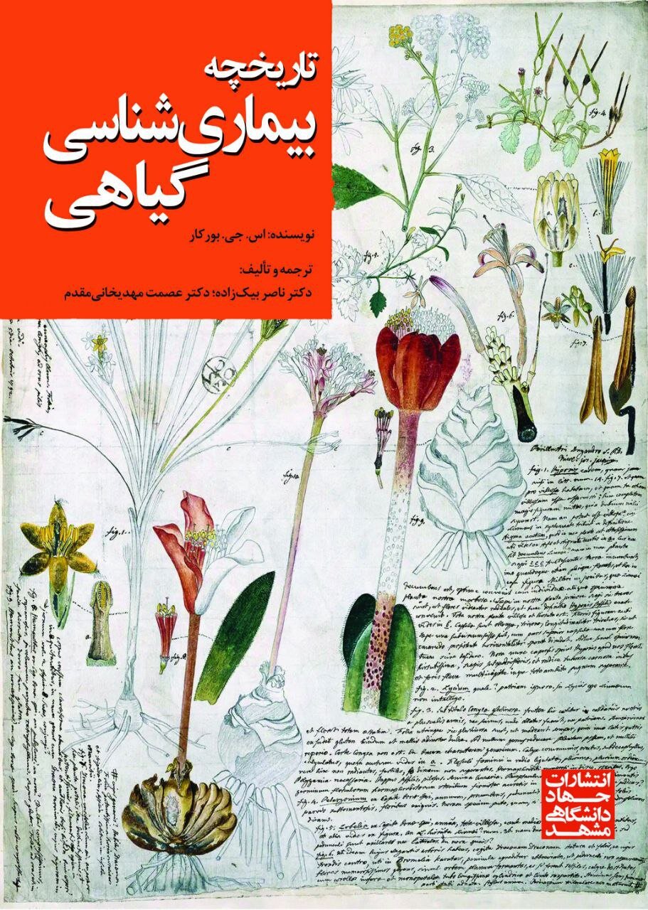 شکست آلمان در جنگ جهانی دوم به علت همهگیری یک بیماری بود!