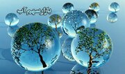 بازار سهم آب، باعث افزایش بهره‌وری آب می‌شود