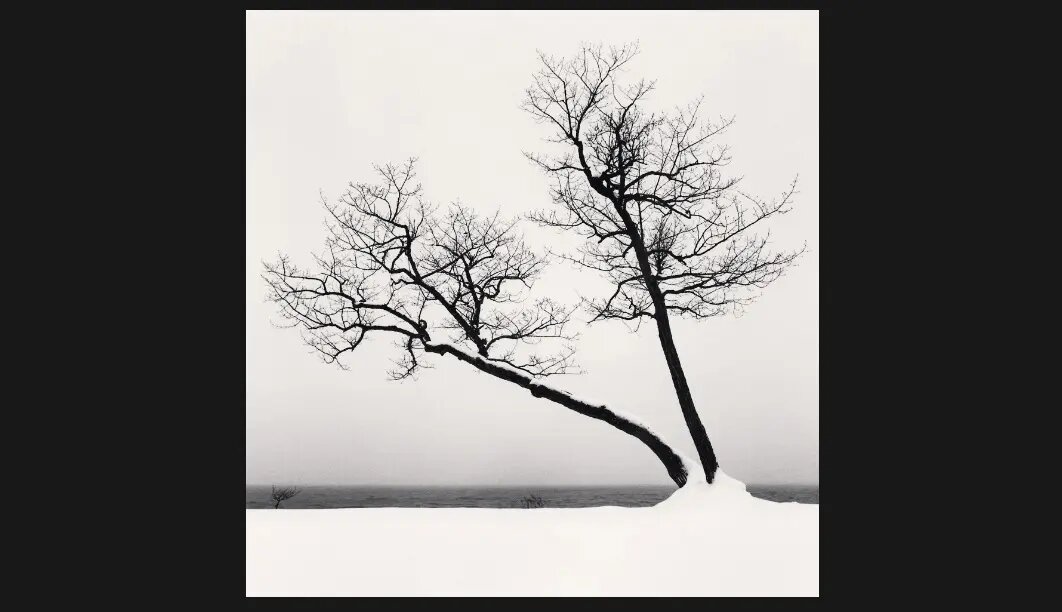 هایکوهای مایکل کِنا؛ عکاسی که هنوز به «نگاتیو» وفادار است+فریمهایی بدیع از طبیعت در غیاب انسان