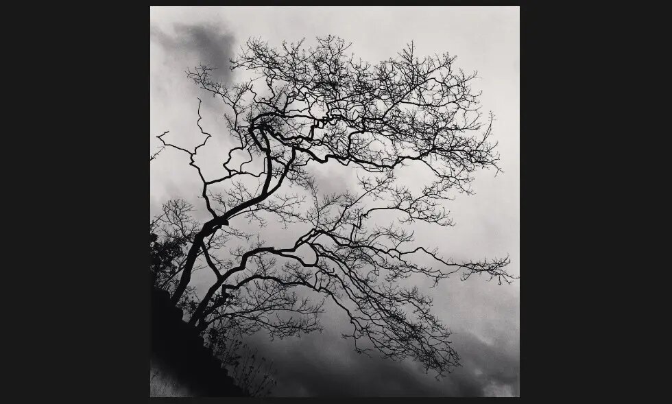 هایکوهای مایکل کِنا؛ عکاسی که هنوز به «نگاتیو» وفادار است+فریمهایی بدیع از طبیعت در غیاب انسان