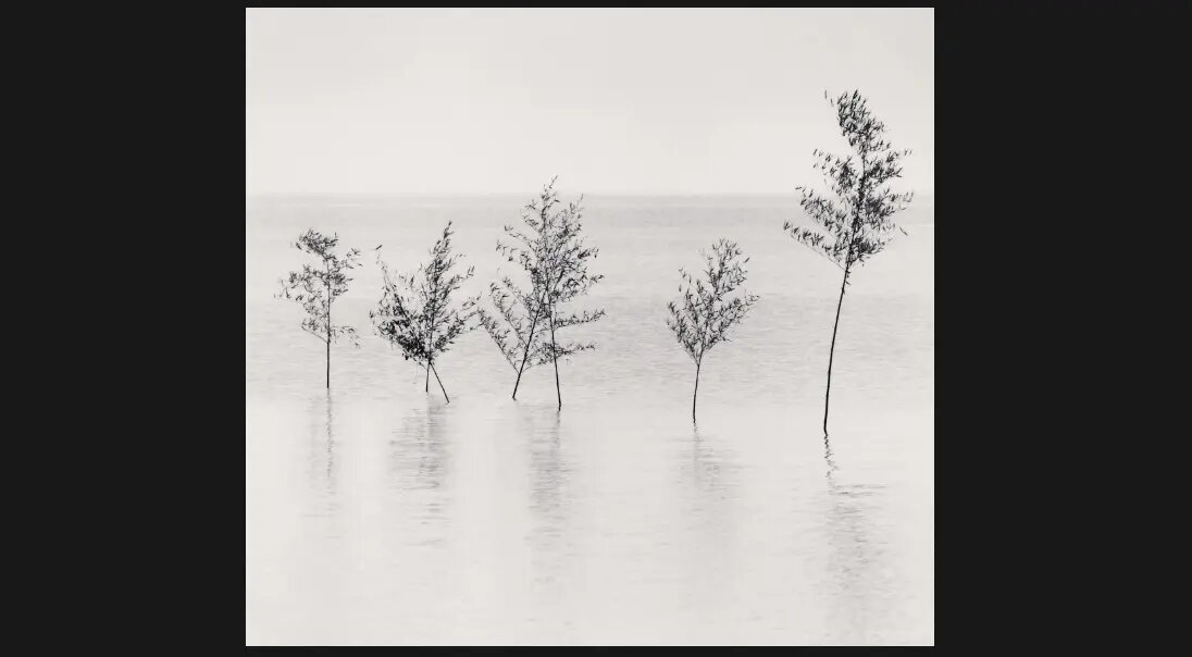 هایکوهای مایکل کِنا؛ عکاسی که هنوز به «نگاتیو» وفادار است+فریمهایی بدیع از طبیعت در غیاب انسان