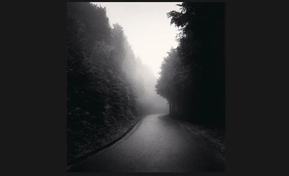 هایکوهای مایکل کِنا؛ عکاسی که هنوز به «نگاتیو» وفادار است+فریمهایی بدیع از طبیعت در غیاب انسان