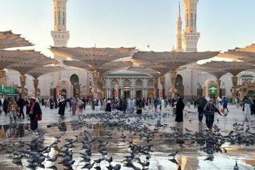 حج خویش را با زیارت رسول خدا (ص) تمام کنید
