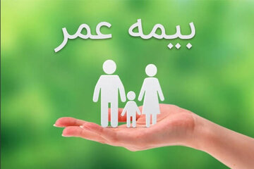 نظر آیت الله شبیری زنجانی درباره بیمه عمر