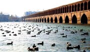 ببینید/ «زاینده رود»؛ از اوج طراوت و «زندگی»  تا ناگهان، «خاموشی»