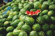 عضو پارلمان روسیه با چه هدفی خبر دروغ وجود نیترات در هندوانه ایرانی را ساخت؟