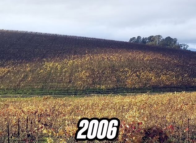 سرنوشت غمانگیز محل تصویر پسزمینه مشهور «ویندوز XP»