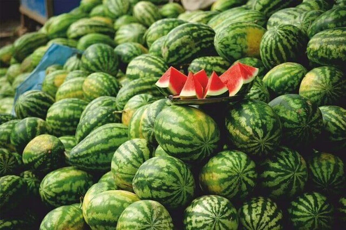 عضو پارلمان روسیه با چه هدفی خبر دروغ وجود نیترات در هندوانه ایرانی را ساخت؟