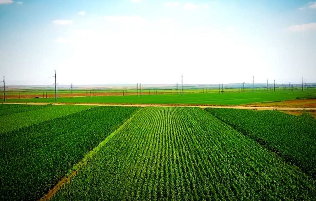 استان اردبیل "منطقه ویژه کشاورزی" نامگذاری شود