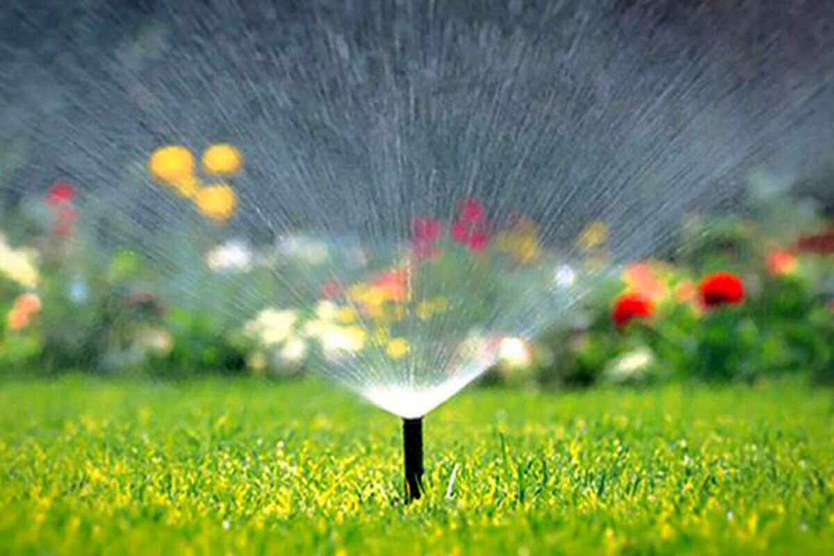 آب میرود و درختان میخشکند/ هدر رفت منابع آبی در آبیاری فضای سبز پایتخت