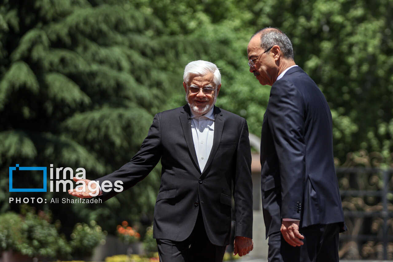 تصاویر از محمدرضا عارف و یک مقام خارجی در کاخ سعدآباد/ احترام آقای نخستوزیر به پرچم ایران