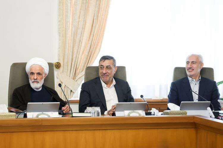 تصویری از تیپ و لباس متفاوت وزیر دفاع در جلسه هیئت دولت/ شهردار تهران هم در جلسه حضور داشت