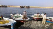 اجرای طرح دریابست در صیدگاه قشم آغاز شد