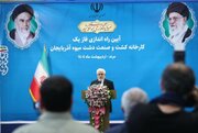 عارف: اجازه نمی‌دهیم موانعی بر سر راه تولیدکنندگان ایجاد شود/دولت باید تسهیل‌گر باشد و نه مچ‌گیر