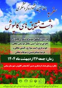 هفدهمین جشنواره گردشگری سفر به دشت شقایق‌های کالپوش برگزار می‌شود