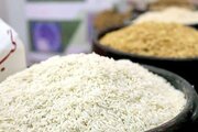 بحران برنج پاکستانی در مشهد/ از کاهش واردات تا گرانی بی‌سابقه