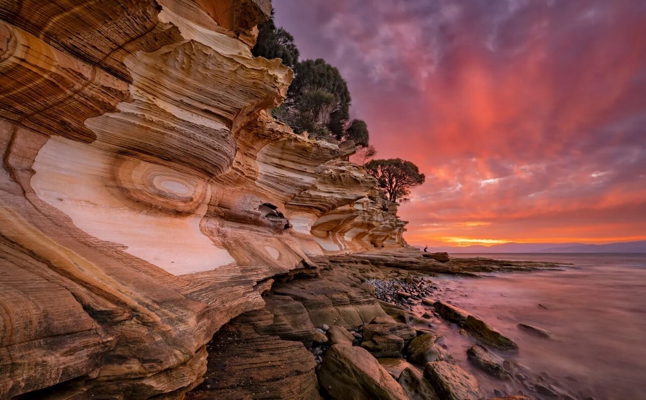 زیبایی، خشونت و بقا / از نبرد مرگبار با پلنگ تا رقص کامل رنگینکمان