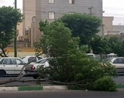 اطلاعیه هشدارآمیز جمعیت هلال احمر