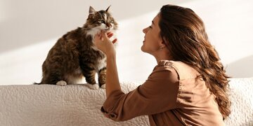 هوش مصنوعی زبان گربه‌ها را ترجمه می‌کند!