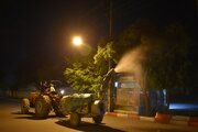 عملیات شستشو و دفع آفات درختان در سنندج آغاز شد