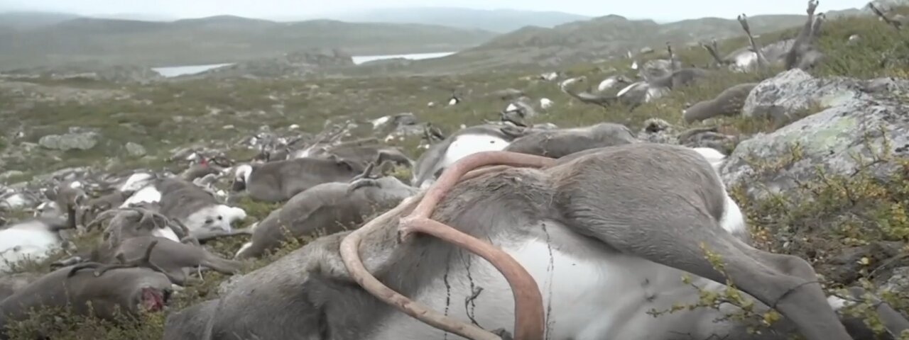 رعد و برق؛ رازهای پدیدهای که از خورشید هم داغتر است!