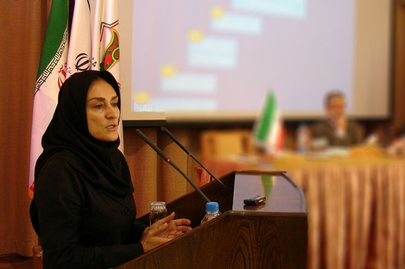معاون فرهنگستان زبان و ادب فارسی: عشق کلمه عربی است اما واژههای فارسی مانند مهر و دوستی جای ان را نمیگیرد