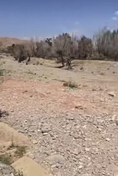 رودخانه جاجرود خشک شد/ عکس 1 1078702_869.jpg