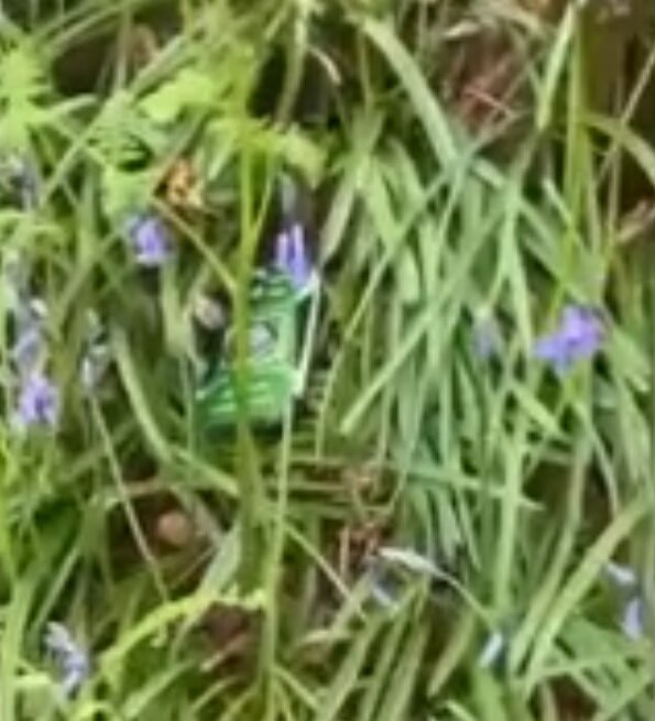 سالم ماندن یک گوشی که از ارتفاع ۴هزار متری سقوط کرده بود/ عکس