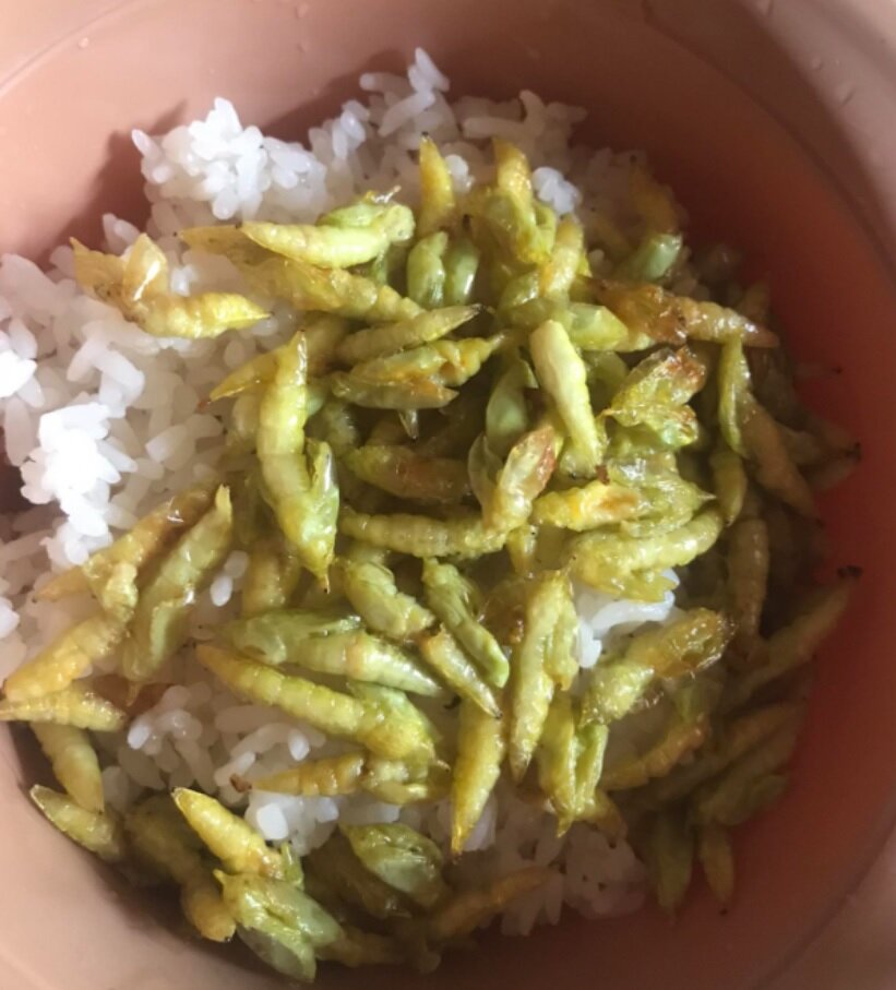 اگر مطمئن هستید حالتان بد نمیشود؛ درباره غذای محبوب ویتنامیها بخوانید!/ عکس