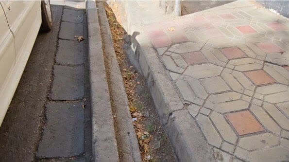 سایه «تبر» بر سر «چنار»های همسایه خانه «استاد کسایی»/درخواست مردم منطقه یک از «استاندار اصفهان»