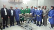 انجام اولین پیوند نانو کامپوزیت گرافن در مدل حیوانی در جهاد دانشگاهی استان سمنان