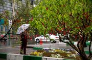 پیش‌بینی وضع هوا طی روزهای آینده/ آسمان این استان‌ها بارانی می‌شود