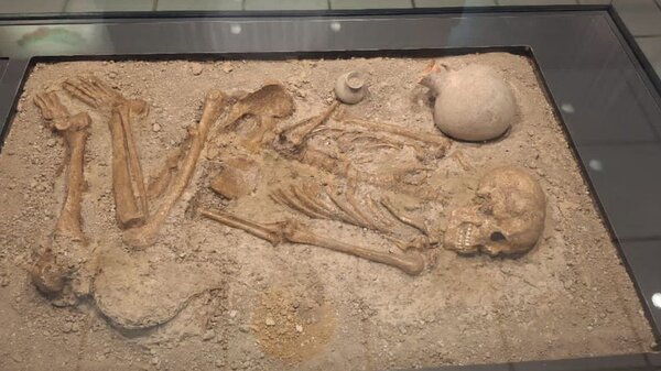 ماجرای کشف اسکلت ۳ هزار ساله در این شهر شمالی/ عکس