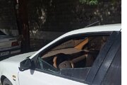 تشریح جزئیات بیشتر از ماجرای روحانی ربوده شده در ایرانشهر