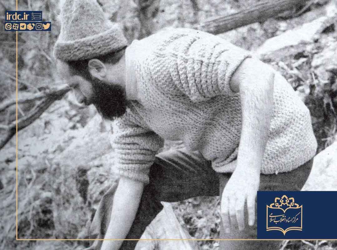 وزارت اطلاعات چگونه تأسیس و سازمان‌دهی شد؟