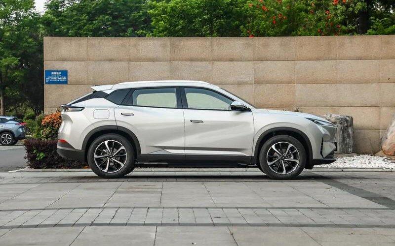 پژو هم چینی شد / همکاری دو خودروساز فرانسوی با شرکت چینی /عکس