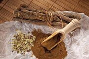گیاهی تلخ با خواصی شیرین/ از ویتامین‌های B۱، B۲، B۳، B۵ تا ویتامین E