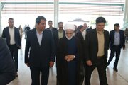 سفر معاون حقوقی رئیس‌جمهور به کرمان/ حضور مجید انصاری در زادگاهش