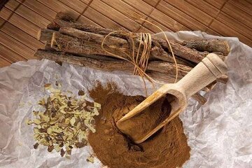 گیاهی تلخ با خواصی شیرین/ از ویتامینهای B۱، B۲، B۳، B۵ تا ویتامین E گیاهی تلخ با خواصی شیرین/ از ویتامینهای B۱، B۲، B۳، B۵ تا ویتامین E