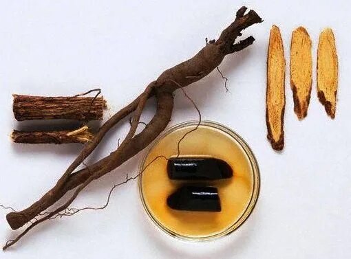 گیاهی تلخ با خواصی شیرین/ از ویتامینهای B۱، B۲، B۳، B۵ تا ویتامین E