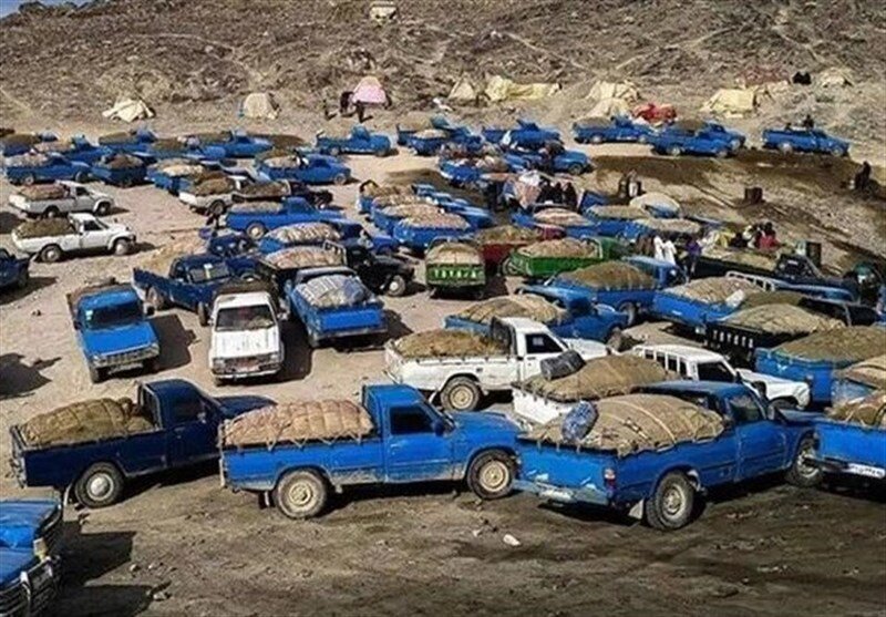 ببینید | تصاویر منتسب به کاروان بزرگ قاچاق سوخت ایران به سمت پاکستان!