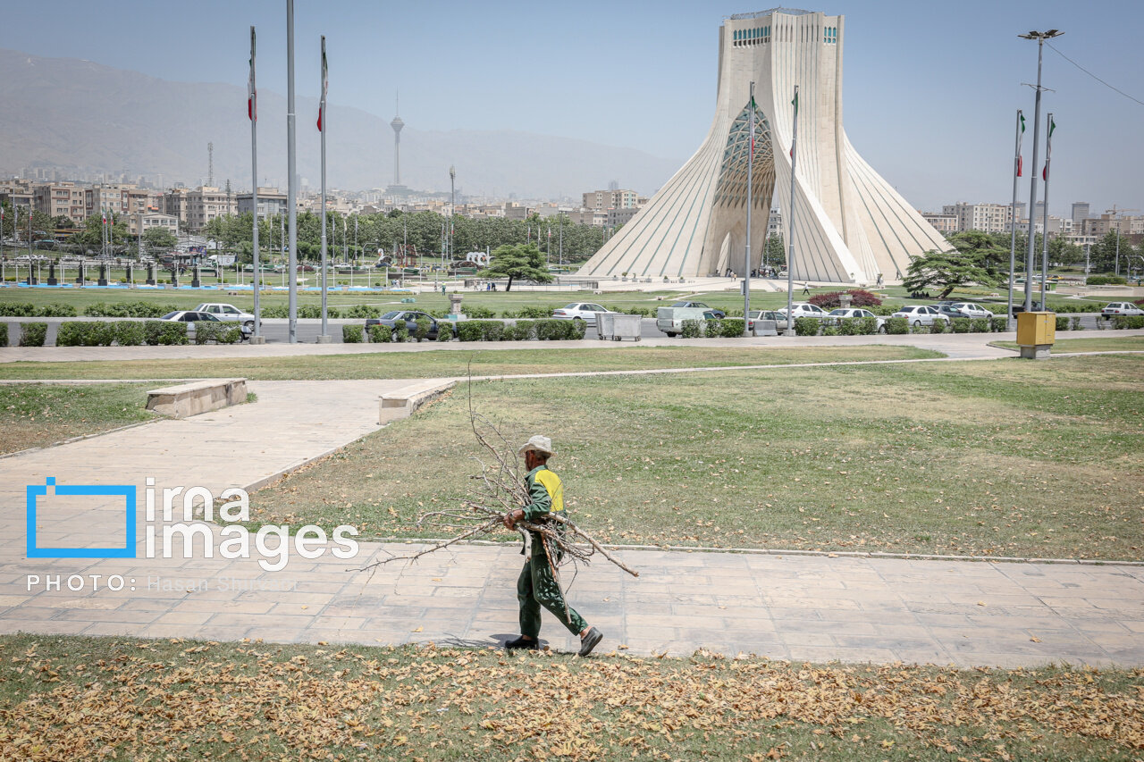 قطع درختان اطراف میدان آزادی؛ شهرداری تهران: درختان خشک بودند/ عضو شورای شهر: چرا رسیدگی نکردید که خشک شوند؟