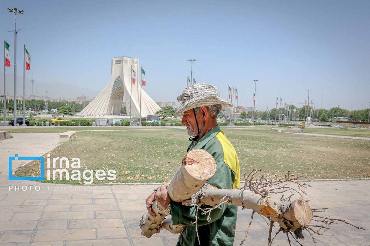 قطع درختان اطراف میدان آزادی؛ شهرداری تهران: درختان خشک بودند/ عضو شورای شهر: چرا رسیدگی نکردید که خشک شوند؟