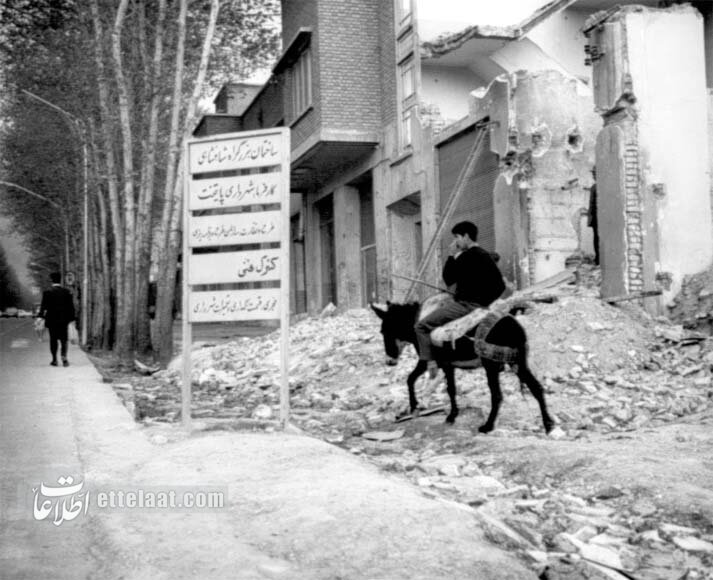 عکس/ الاغسواری در پارکوی، نیم قرن پیش