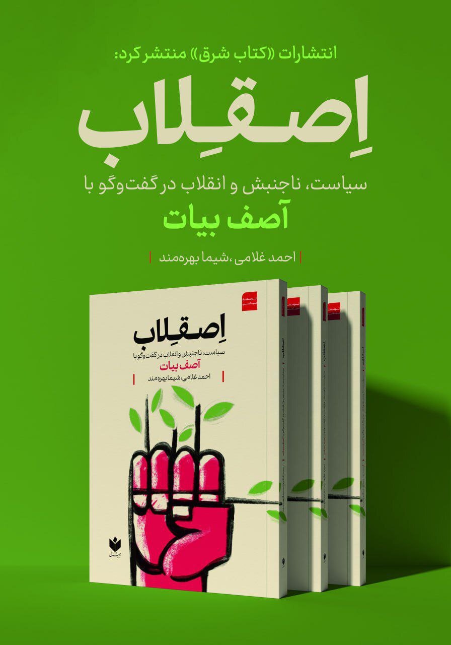  تلاقی سیاست و ناجنبش