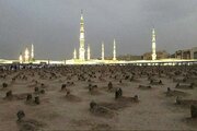 کبوترهایی که در «بقیع» پیام رسان می‌شوند!